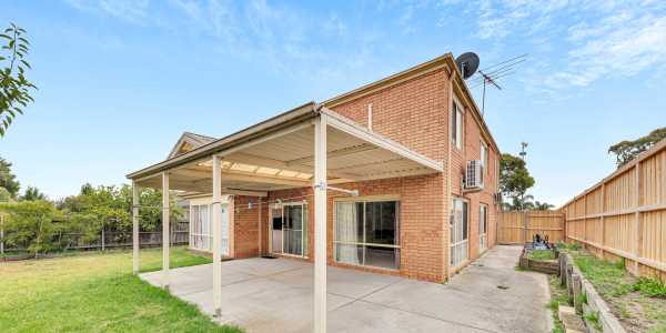 Sayed M testimonial image