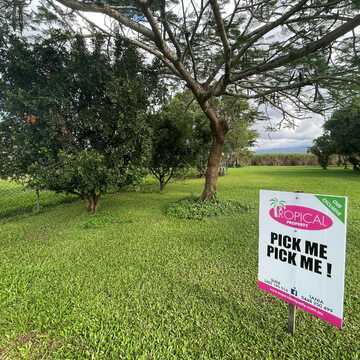 Kirsten (Seller) testimonial image