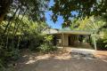 A Living Tree House ! Make Your Best Offer By 15-9-22