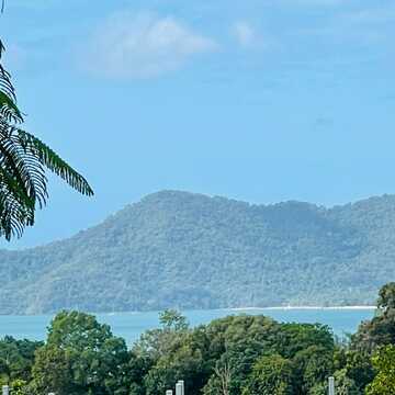 Phil Moss testimonial image