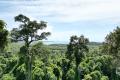 Secluded Rainforest Acreage with Sweeping Coastal Views
