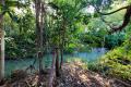 Lifestyle Acreage at Beautiful Feluga !