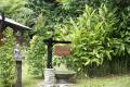 “ Alam Indah” – Beautiful Nature
