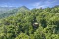 The Ultimate FNQ Private Rainforest Hideaway