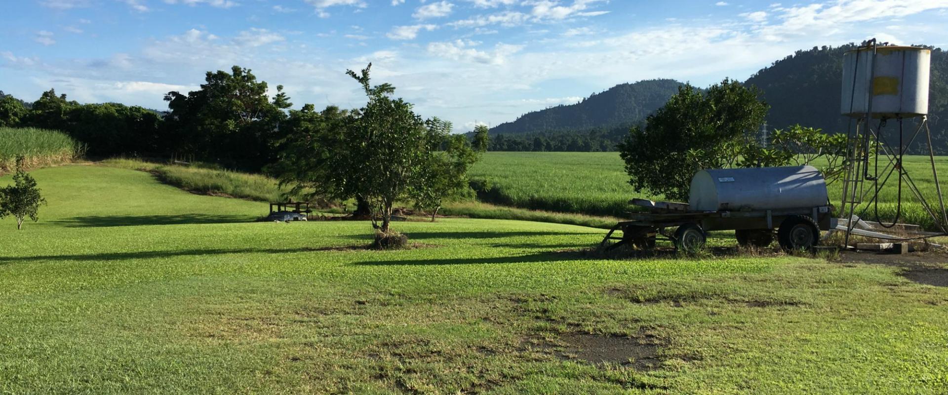 Tully Realty Cane farm in Silkwood Area