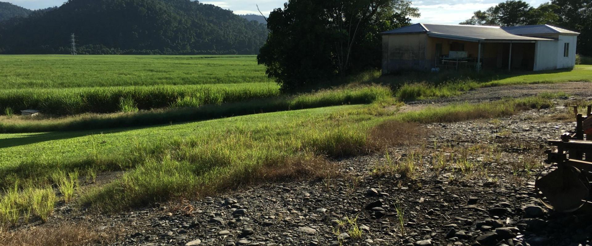 Tully Realty Cane farm in Silkwood Area