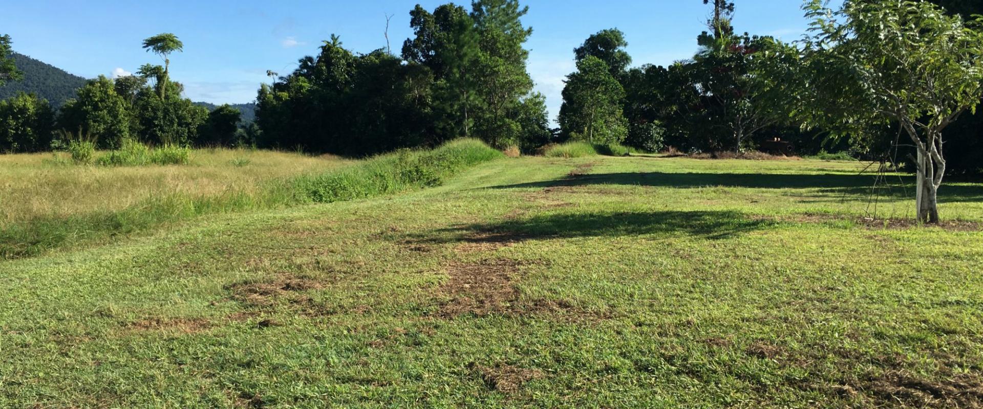 Tully Realty Cane farm in Silkwood Area