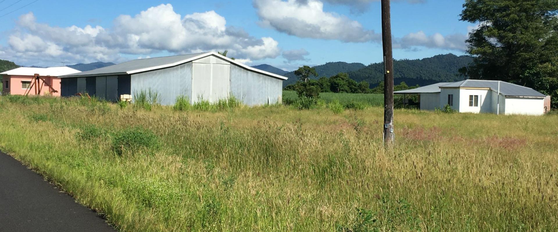 Tully Realty Cane farm in Silkwood Area