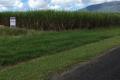 Midgenoo Cane Farm