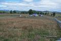 24 Acres - 20 Minutes from Ulverstone!