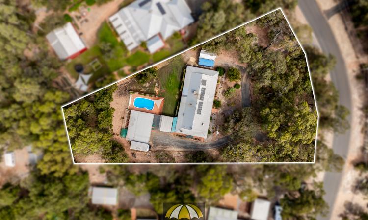 Stunning Bush Block with a Large Shed!