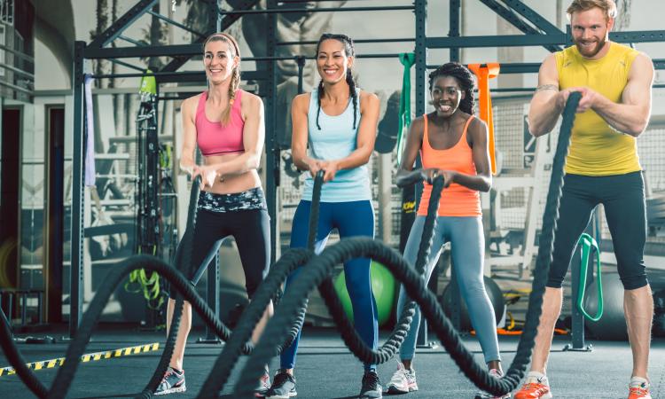 High Performing Functional Training Gym for sale in Greater Sydney