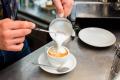 Health Orientated Coffee Shop - Cronulla  Rent $210 PW