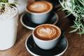Cafe with Liquor License for sale in the Sutherland Shire. 60 - 70 kilo of coffee per week CF