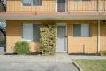 Fully Renovated Ground Floor Apartment