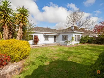 Cameron I testimonial image