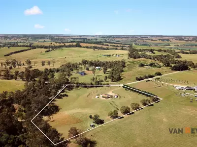 Brendon F testimonial image