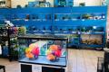 Aquarium and Pet Supplies - KM1088