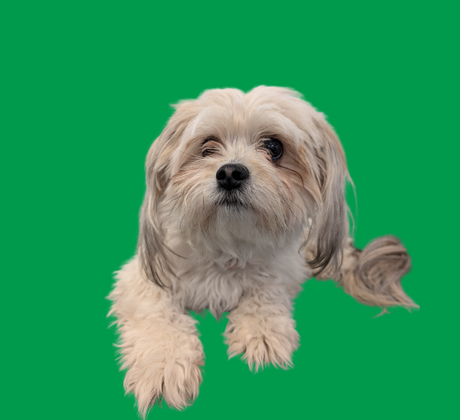 Molly Patterson photo