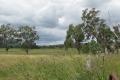 41 ACRES ON TWO TITLES - SWAN CREEK
