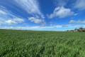 RELIABLE BROADACRE CROPPING LAND