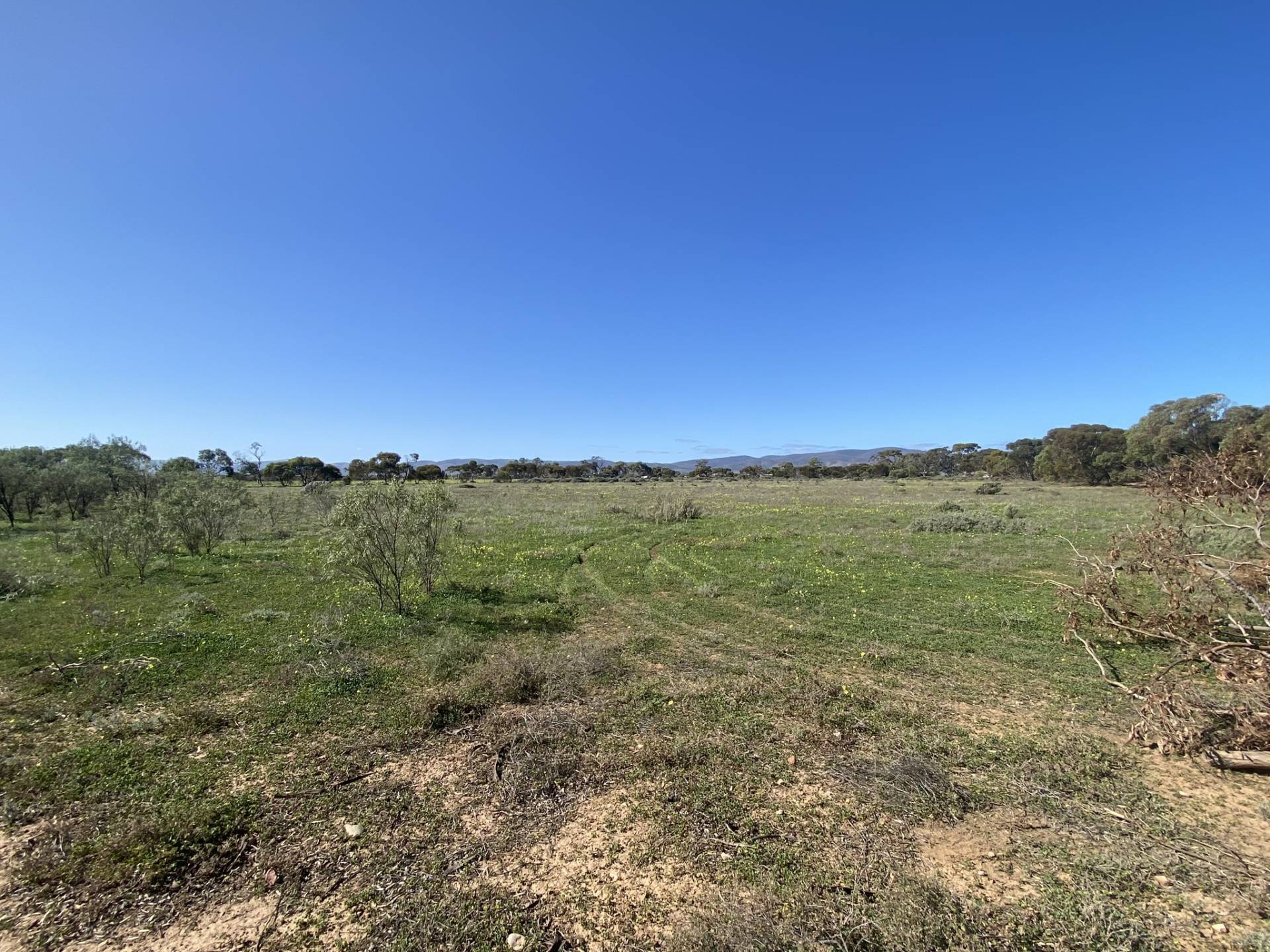 S324, 41 Pole Road, Port Germein - Thumbnail 3