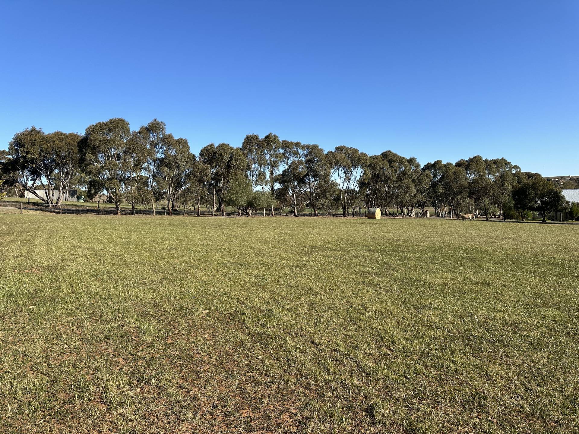 Lot 229 Graham St, Burra - Thumbnail 2