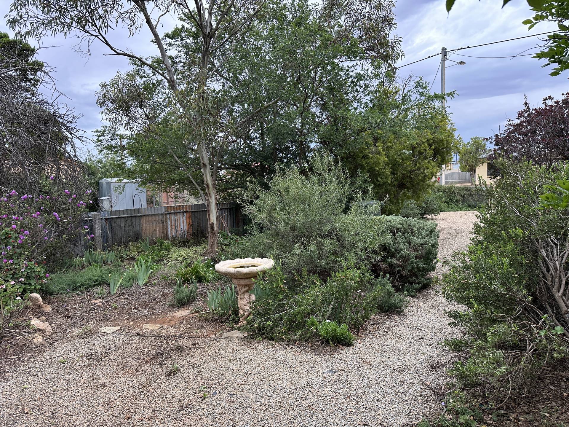 40 Hill St E, Peterborough - Thumbnail 8