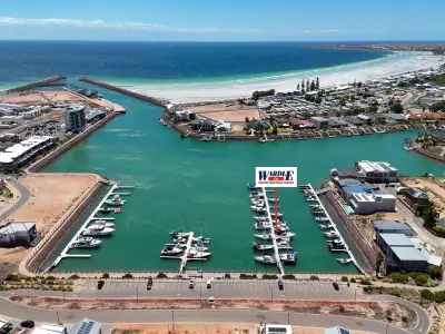 don p testimonial image