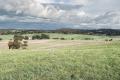 71 ACRES* OF A LIFESTYLE BLOCK WITH CAPTIVATING VIEWS