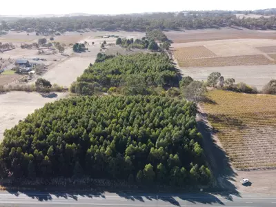 Rob C testimonial image