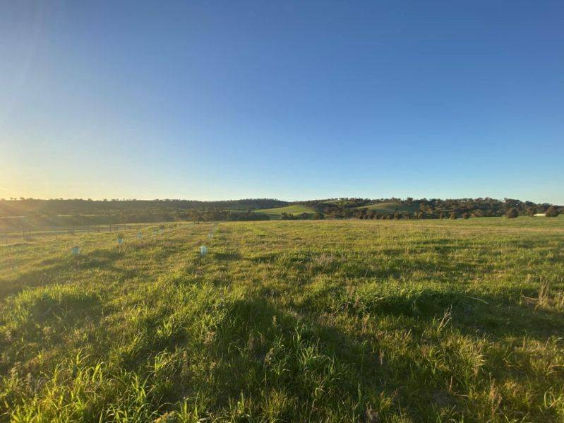 Allotment 27 Wirrabara-Appila Road, Wirrabara - Thumbnail 2
