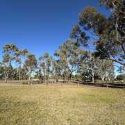 Seller of a Vacant Land in Caltowie