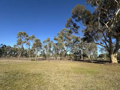 Denise F testimonial image