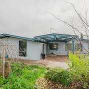 Seller of a House in Burra