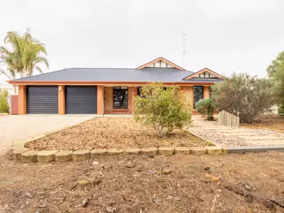 Pam M testimonial image