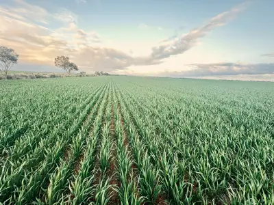 Andrew S testimonial image