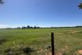 Vacant Rural Land on the fringes of town