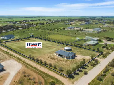 Connor W testimonial image