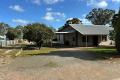 Renovator’s Delight!