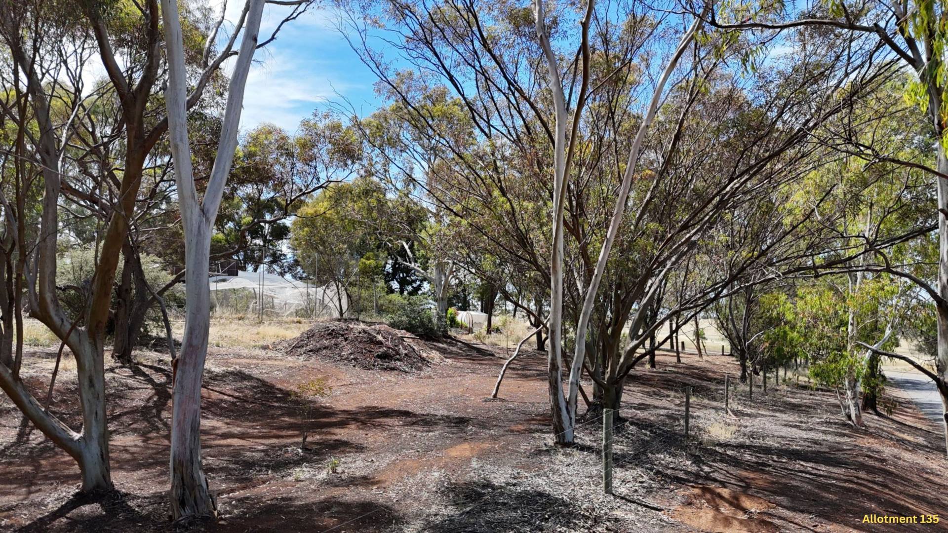 Allotment 130 & 135 South Terrace, Wirrabara - Thumbnail 8