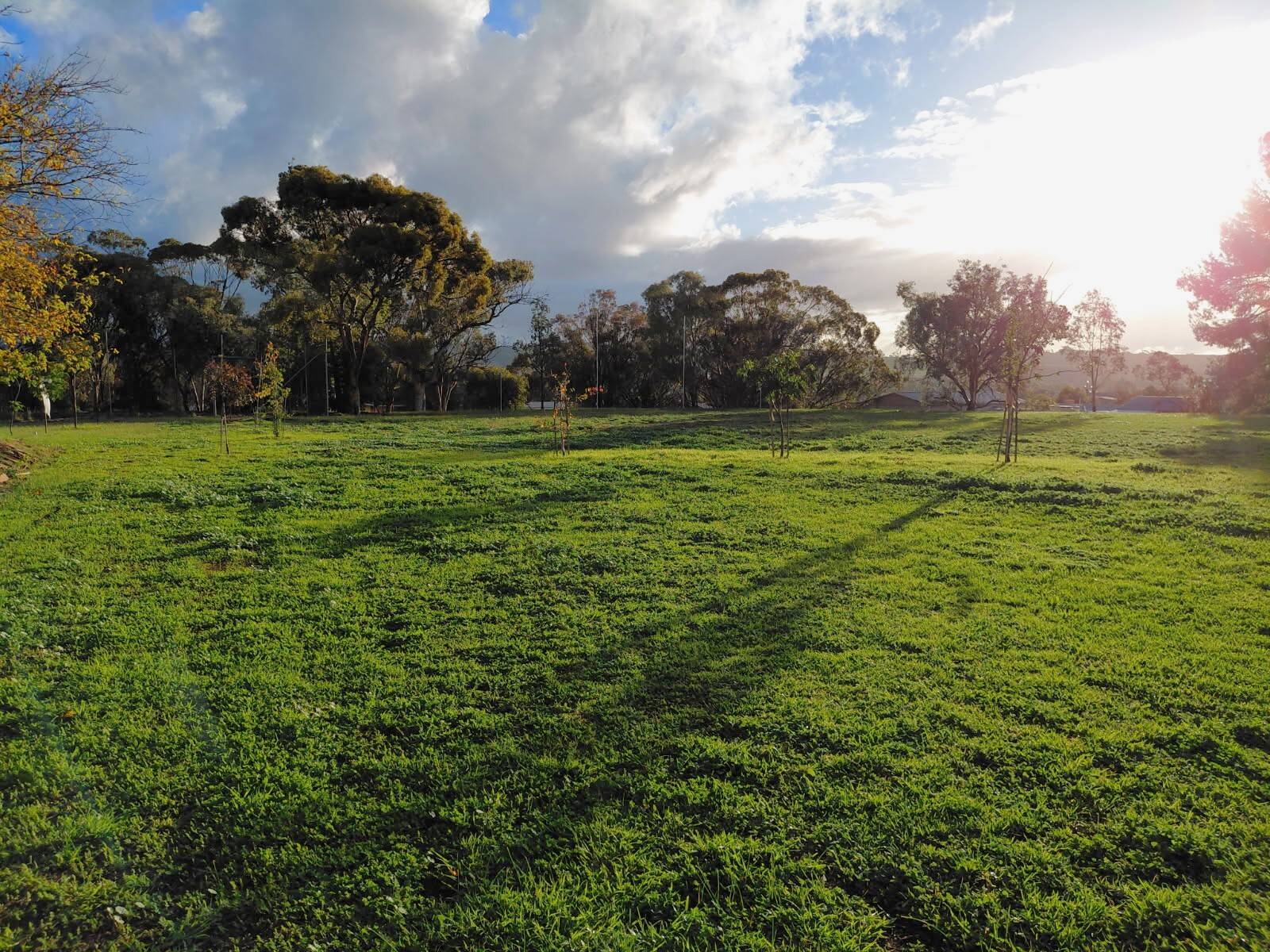 Allotment 130 & 135 South Terrace, Wirrabara - Image 1