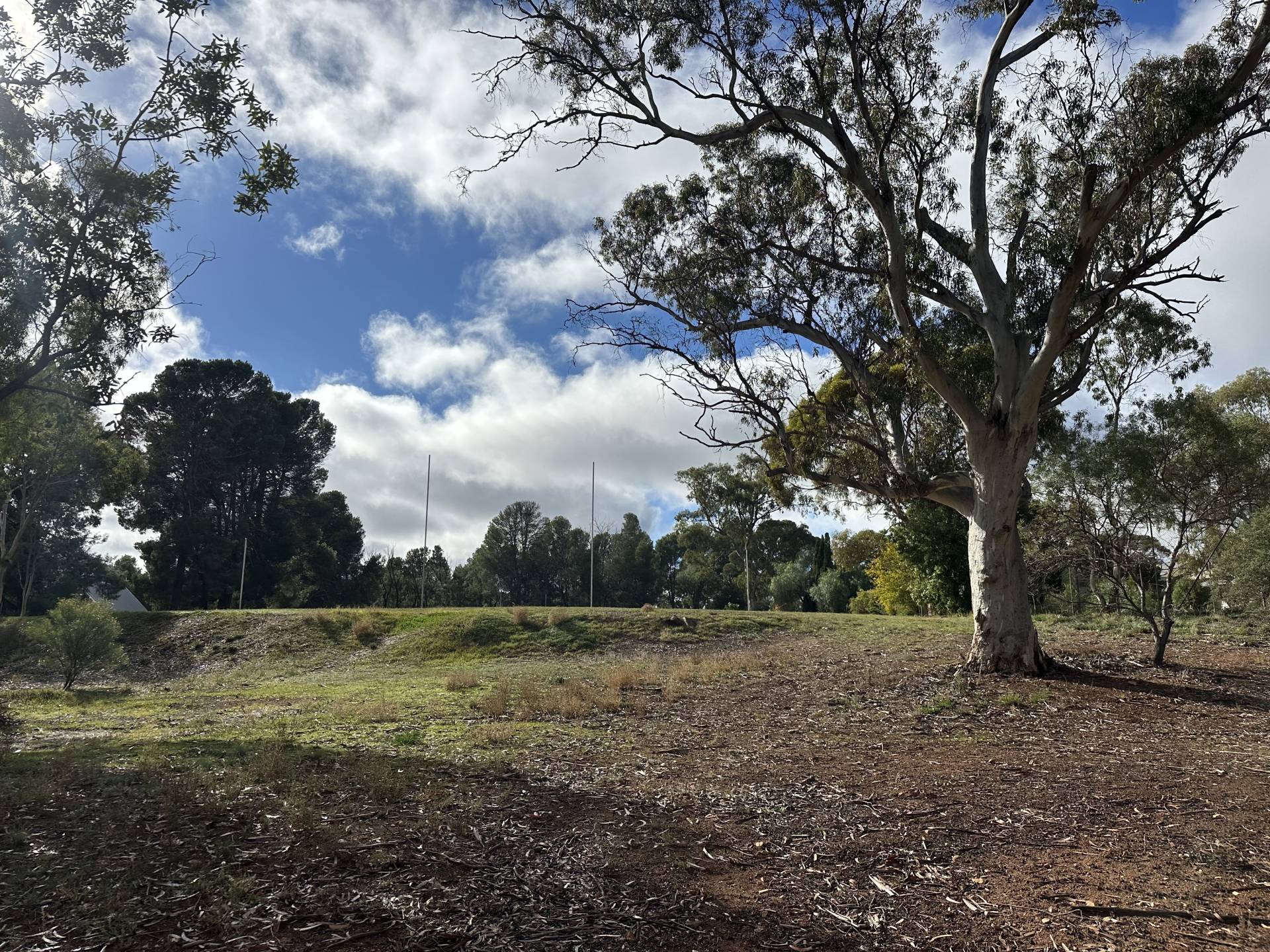 Allotment 130 & 135 South Terrace, Wirrabara - Thumbnail 4