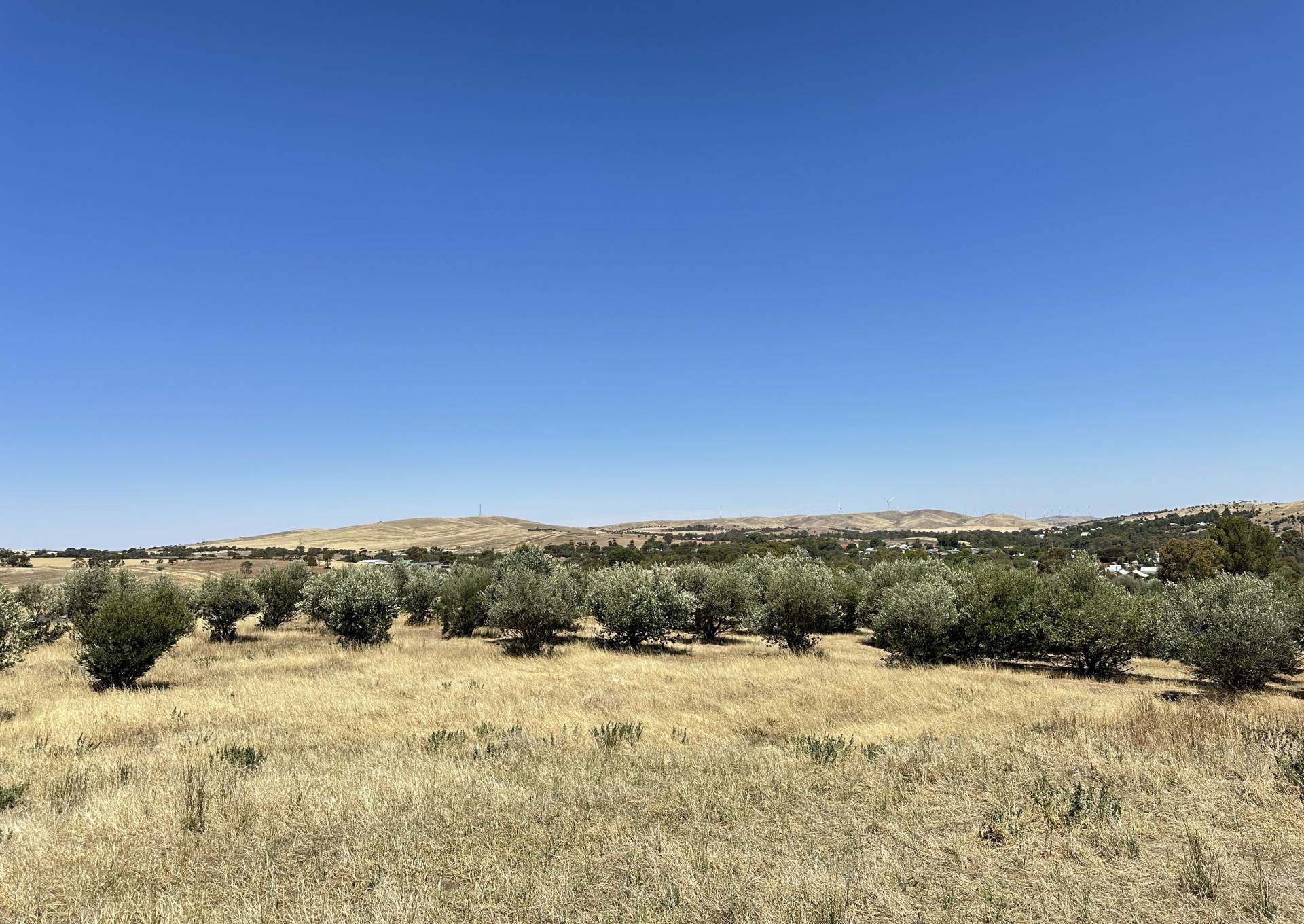 Lot 15 West Terrace, Burra - Thumbnail 7