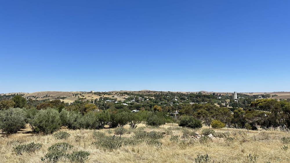 Two Acres View TWO ACRES OF LAND WITH PANORAMIC VIEWS - Wardle Co Real Estate