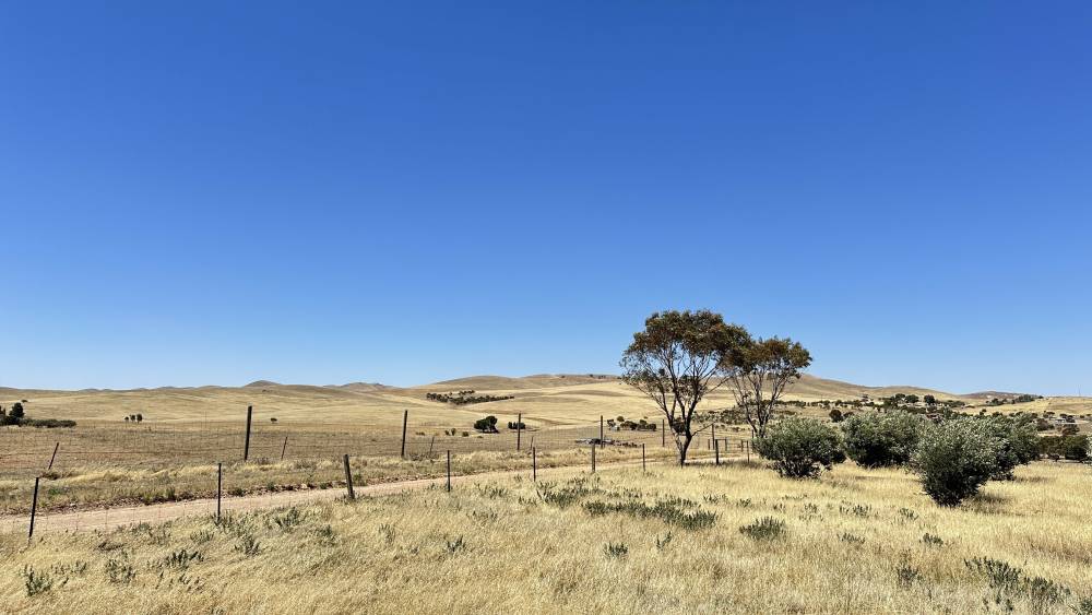 Two Acres View TWO ACRES OF LAND WITH PANORAMIC VIEWS - Wardle Co Real Estate