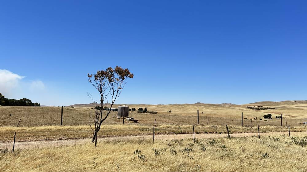 Two Acres View TWO ACRES OF LAND WITH PANORAMIC VIEWS - Wardle Co Real Estate