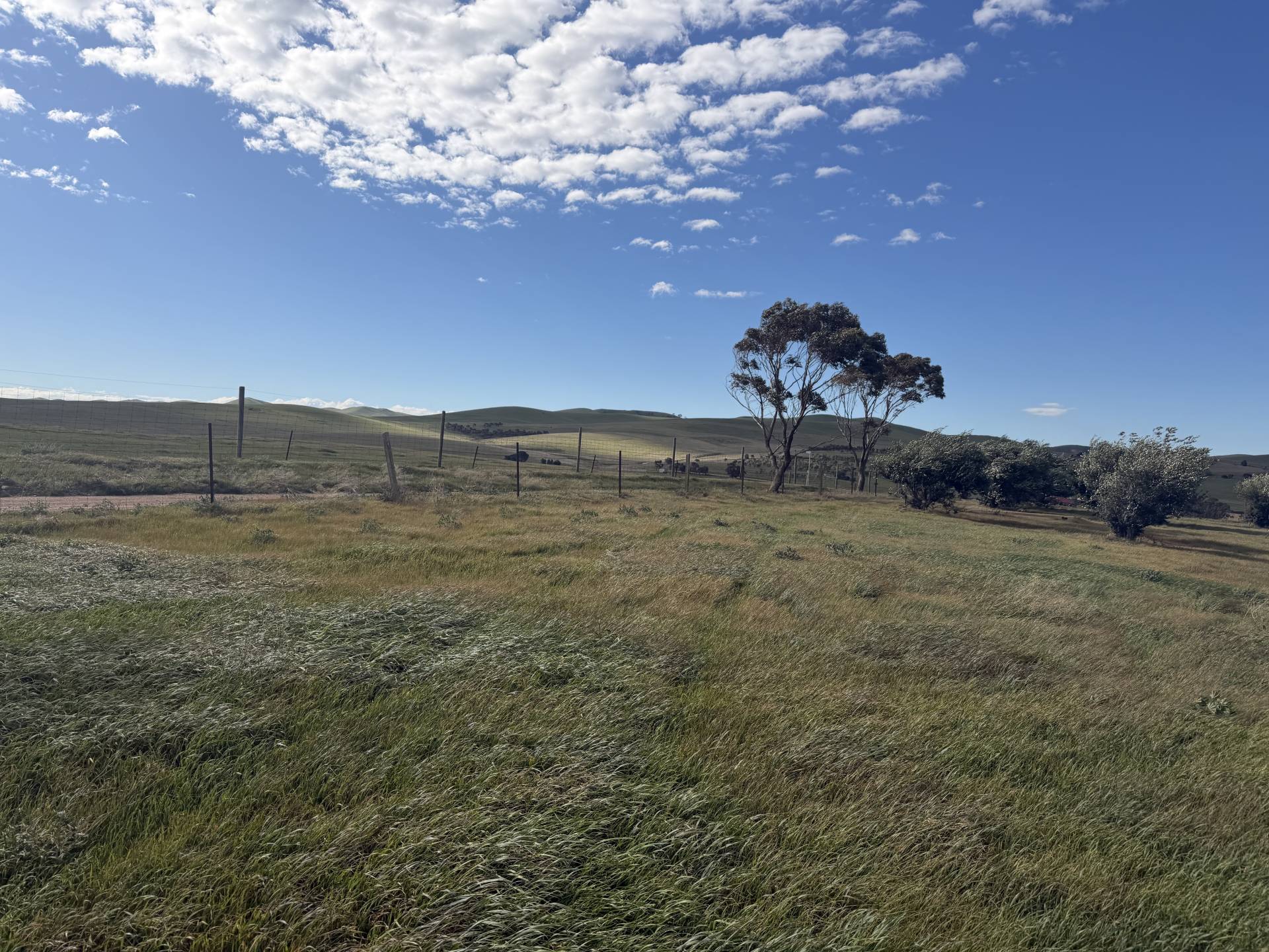 Lot 15 West Terrace, Burra - Thumbnail 3