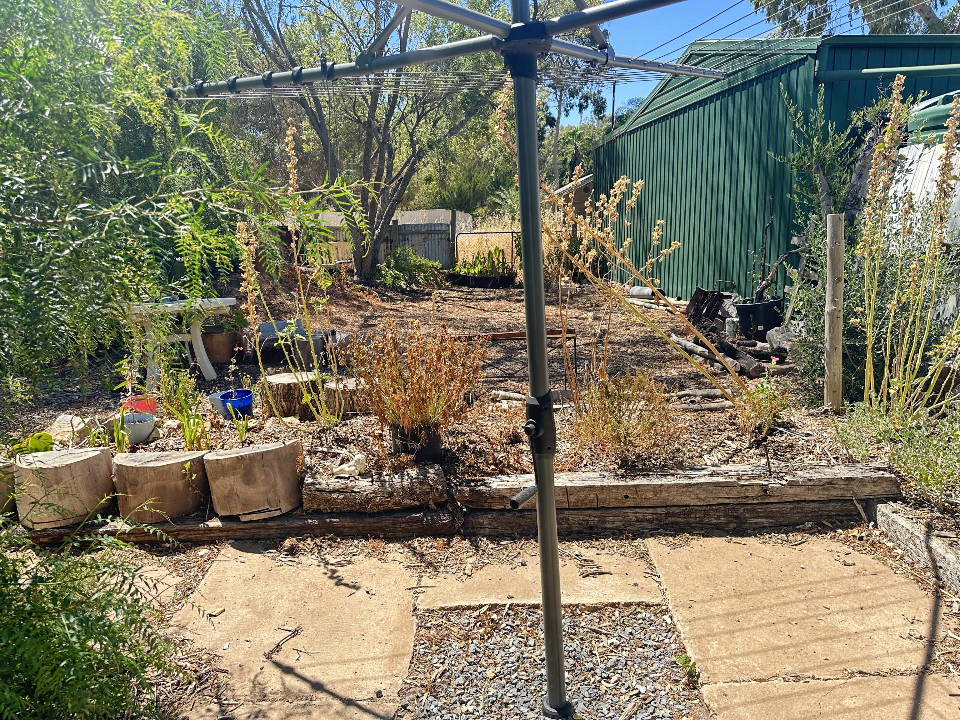 26 Frederick Pl, Riverton - Thumbnail 8