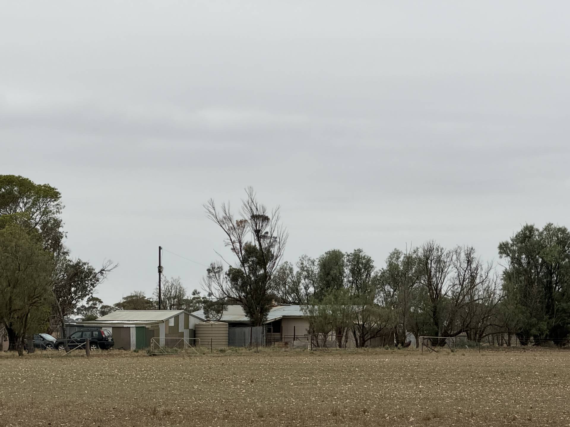29 Acacia Road, Everard Central - Thumbnail 7
